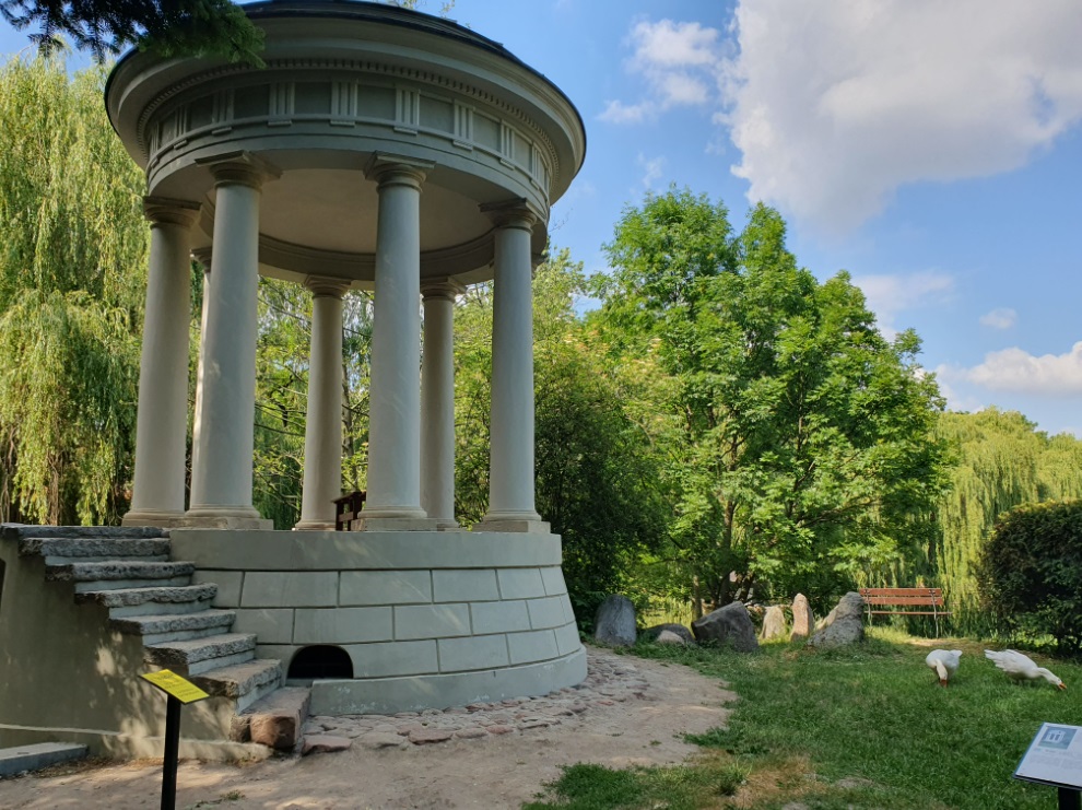 Dobrzyca